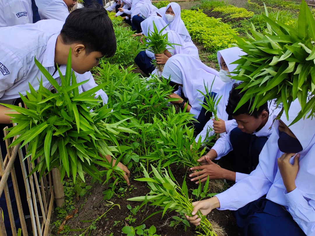 YUK PANEN, IMPLEMENTASI PROJEK PENGUATAN PROFIL PELAJAR PANCASILA – SMP ...